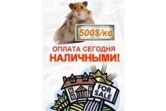 «Хомяки» против