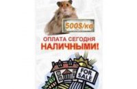 «Хомяки» против