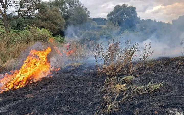 ​На Харківщині загинула жінка через випалювання сухої трави