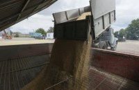 Митники не дали вивезти до Італії 1,2 тис. тонн пшениці за підробленими документами