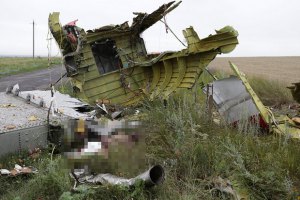Боевики "ДНР" намерены вывезти обломки "Боинга" с места крушения, - ДонОГА