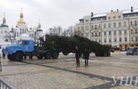 В Киев привезли главную елку страны