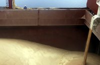 За програмою Grain From Ukraine з України експортували більше 220 тисяч тонн сільгосппродукції