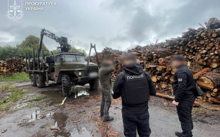На Житомирщині викрили осіб, причетних до вирубки дерев на 33 млн гривень