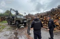 На Житомирщині викрили осіб, причетних до вирубки дерев на 33 млн гривень