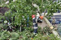 Непогода обесточила 151 населенный пункт в пяти областях Украины