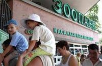Первая очередь Киевского зоопарка после реконструкции откроется в июле