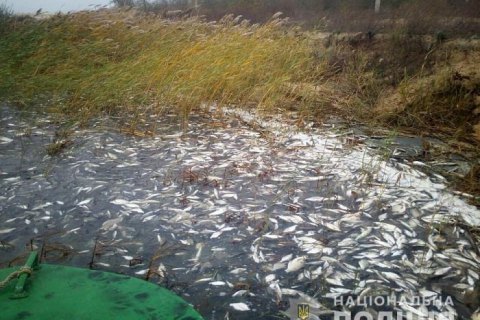 В Херсонской области полиция расследует причины массовой гибели рыбы в Днепре