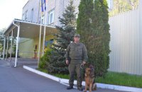 Нацгвардеец-кинолог нашел пропавшего ребенка за 40 минут