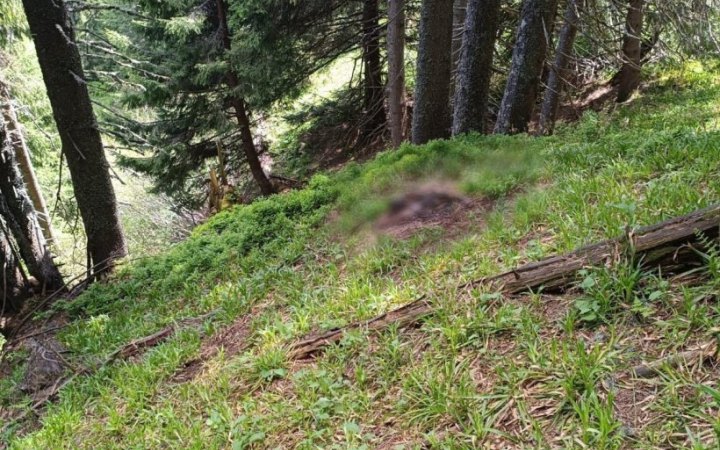 Прикордонники виявили тіло людини поблизу кордону 
