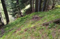 Прикордонники виявили тіло людини поблизу кордону з Румунією