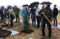 Естонія хоче придбати 70 тис. саджанців для відновлення лісів Луганщини після пожеж