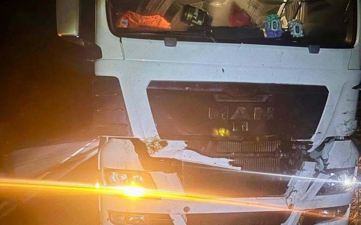 На Львівщині під колесами вантажівки загинув червонокнижний зубр