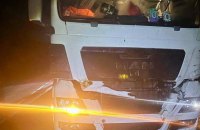 На Львівщині під колесами вантажівки загинув червонокнижний зубр