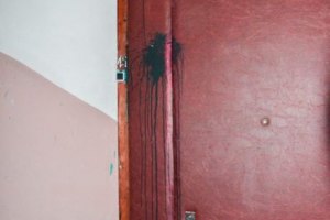Неизвестные облили зеленкой двери квартиры матери Пояркова и еще одного активиста