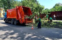 Негода на Тернопільщині знеструмила 75 населених пунктів, вітер в Одесі повалив 20 дерев (доповнено)