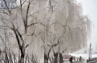 Завтра в Киеве до -4 градусов