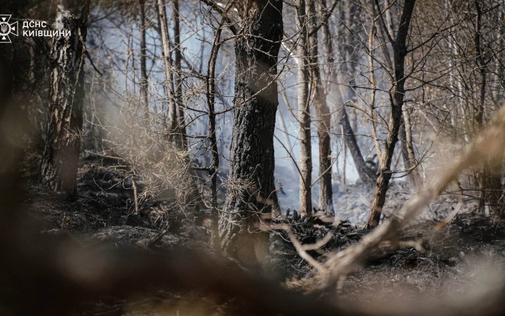Рятувальники продовжують ліквідацію пожежі у Зоні відчуження через атаку російських БпЛА