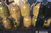 В Киевской области задержали мужчину с 10 кг марихуаны в трехлитровых банках 