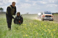 ​У Вишгородському районі Київщини лунатимуть вибухи: проходить розмінування