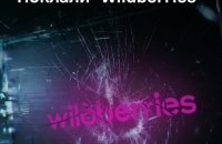 "Поклали" Wildberries: ГУР розкрило деталі кібератаки на російський маркетплейс