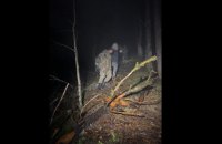На Закарпатті врятували "туристів", які дві доби блукали у горах