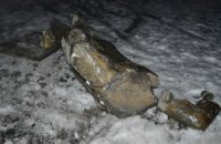 На окраине Запорожья повалили памятник Ленину