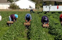 В Украину из стран-партнеров начали поступать запросы о сезонных рабочих