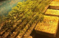 Житель Днепра вырастил в гараже конопли на 2,2 млн гривен