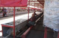 Беларусь сделает упор на развитие частного сектора