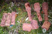 В Житомирской области мужчина подорвался на мине времен Второй мировой войны, которую хранил в сарае