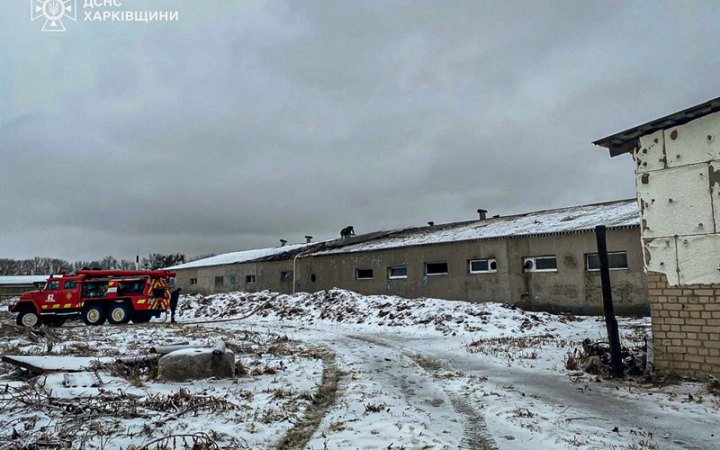 ​На Харківщині росіяни атакували ферму: постраждав чоловік і загинуло 100 свиней