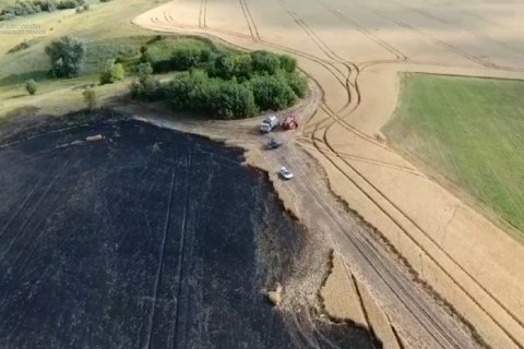 На Сумщине горело пшеничное поле