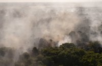 Reuters: У Британії зафіксували рекордну кількість лісових пожеж