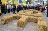 Під Радою проходить акція за введення мораторію на продаж землі
