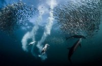 Международный конкурс Siena International Photography Awards выбрал фотографа года