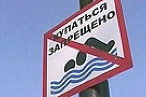 В запорожской речке обнаружен холерный вибрион