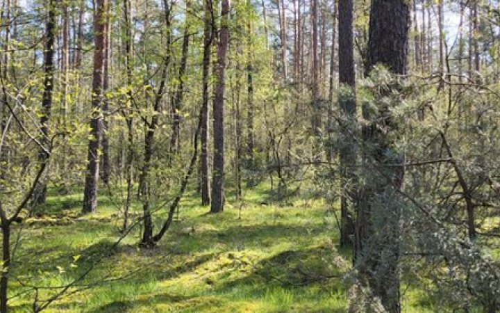 Знайдені в Польщі залишки ракети "повітря-земля" можуть належати місцевій армії, – RMF FM