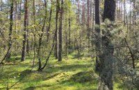 Знайдені в Польщі залишки ракети "повітря-земля" можуть належати місцевій армії, – RMF FM