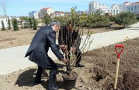 Кому достались земли и имущество Севастополя