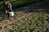 Фермеры выступают за проведение референдума по земельному вопросу