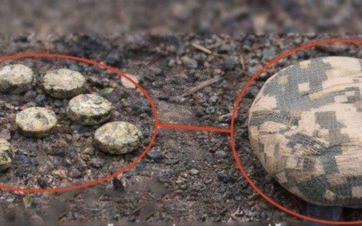 Окупанти дистанційно замінували вулицю в Корабельному районі Херсона