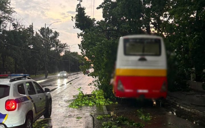 В Києві через падіння дерев ускладнений рух на деяких вулицях