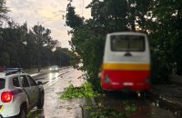 В Києві через падіння дерев ускладнений рух на деяких вулицях