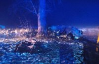 На Житомирщині легковик влетів у дерево, троє осіб загинуло