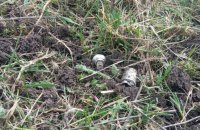 На Харківщині рятувальник підірвався на невідомому вибуховому  предметі