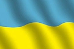Кабмин предлагает запретить использование государственного флага в символике партий