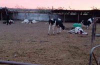 Головне за ніч та ранок вівторка, 10 жовтня: 27 знищених "шахедів" на півдні, 15 відбитих атак на Донеччині 