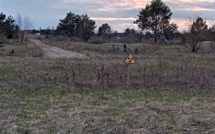 На землях Чорнобильського заповідника незаконно вирощували зернові, – прокуратура