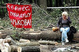 Немецкие "зеленые" пожалуются ЕС на Кернеса